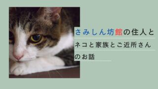 さみしい坊館の住人とネコと家族とご近所さんの話